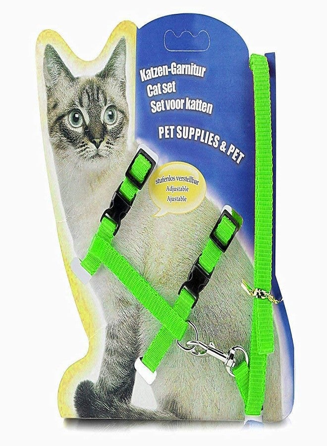 D&C PAWS طقم حزام ومقود من النايلون للقطط والأرانب والقطط الصغيرة والحيوانات الأليفة الصغيرة من دي آند سي باوز، طوق/حزام تدريب للقطط والأرانب والقطط الصغيرة والحيوانات الأليفة الصغيرة (نايلون) - Image 1
